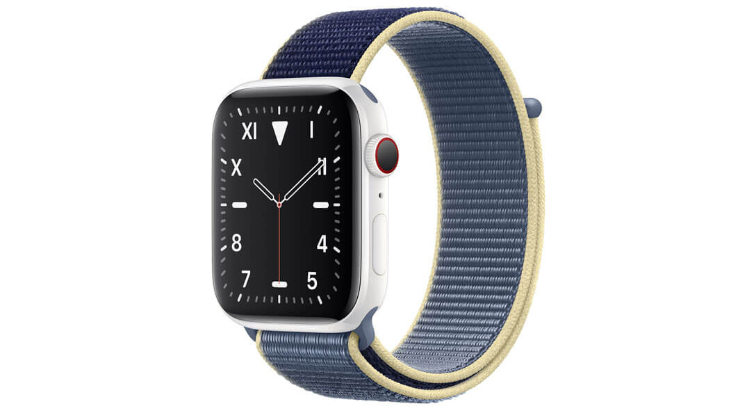 Apple Watch Series 5(Apple Watch Edition (GPS + Cellular) Ceramic) Service